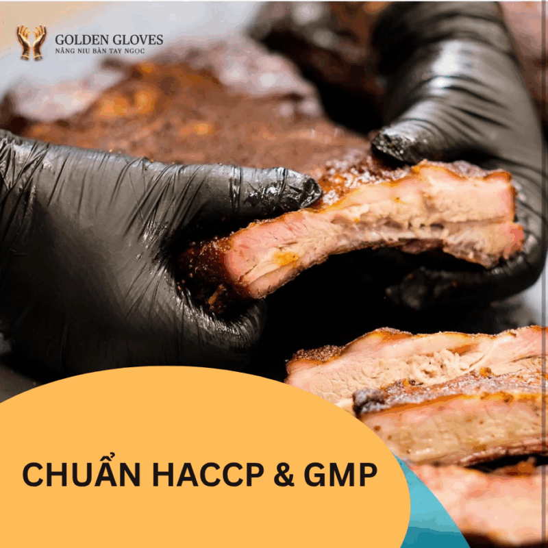 Chuẩn HACCP GMP
